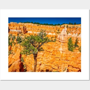 Bryce Canyon National Park Posters and Art